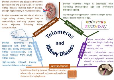 Genetic Susceptibility to Chronic Kidney Disease – Some More Pieces for the Heritability Puzzle